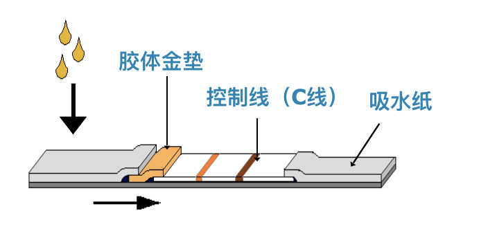 圖片 圖片