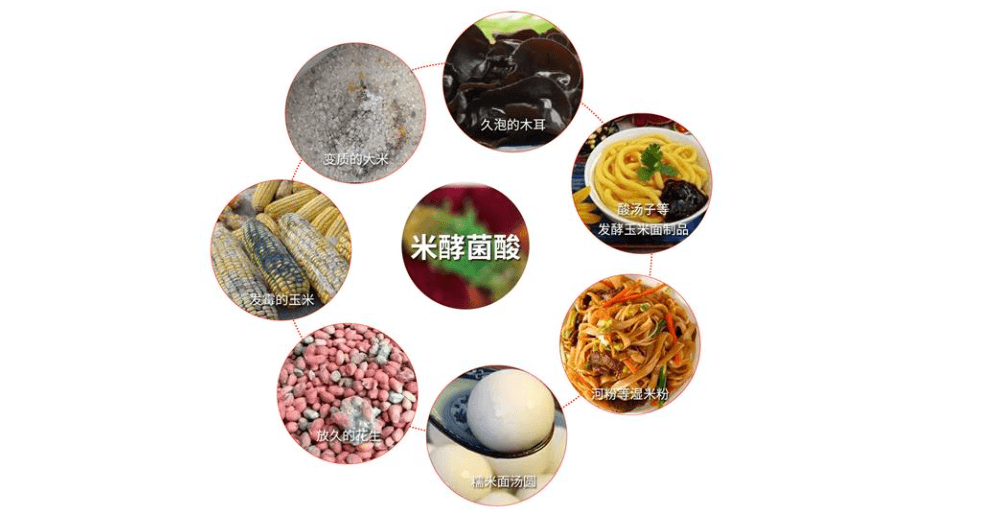 密教.png